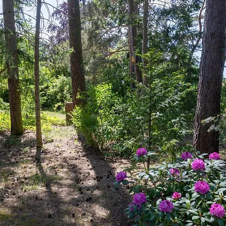 Hébergement de vacances Krohse *