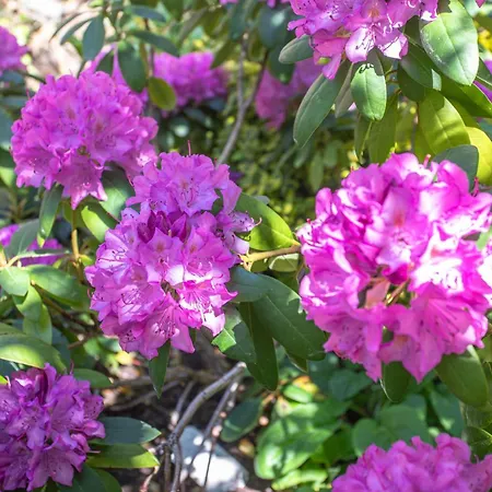 Hébergement de vacances Krohse