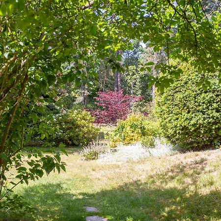 Krohse بوتسدام