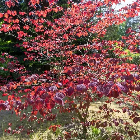 بيت للعطل Krohse بوتسدام