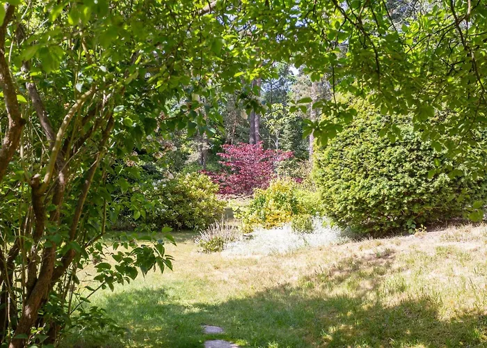 Krohse بوتسدام