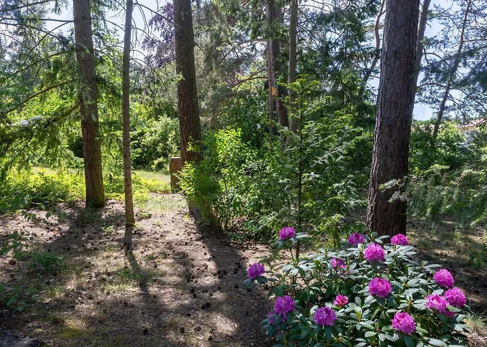 Krohse بوتسدام